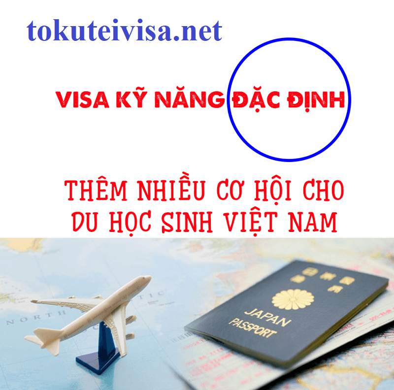 visa đặc định