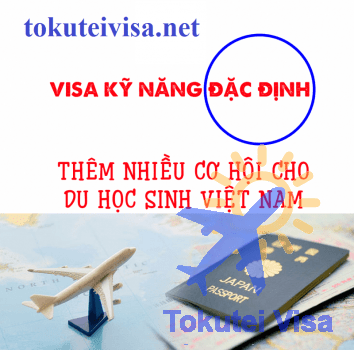 visa kỹ năng đặc định