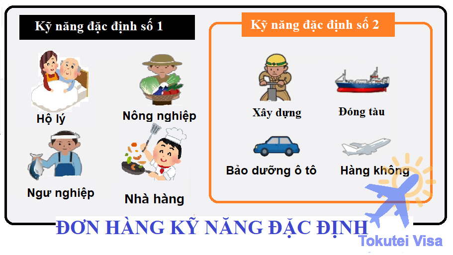 don-hang-ky-nang-dac-dinh