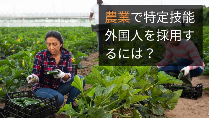 Đơn hàng kỹ sư nông nghiệp đi Nhật Bản