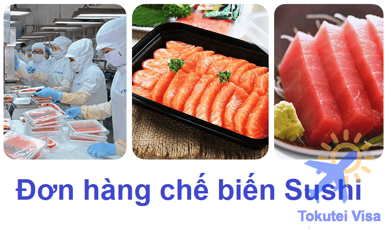 Hot: Đơn Hàng Làm Sushi Tại Nhật Bản