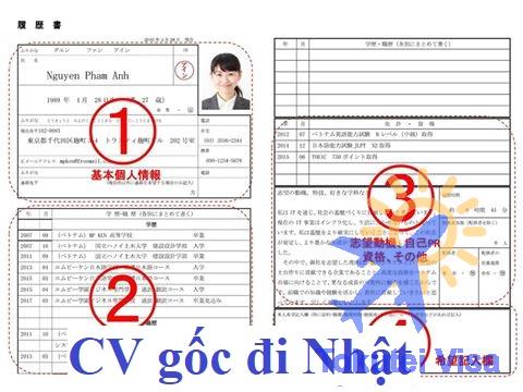 CV gốc là gì